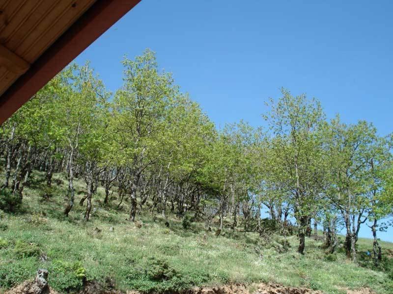 Guesthouse Irida Belokomiti Luaran gambar
